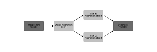 causalplot R package: Create Causal Diagrams Using A Simple Convencience Function